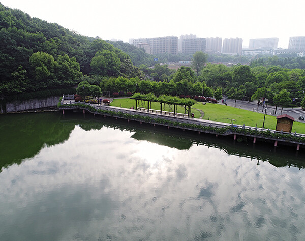 農業3.jpg